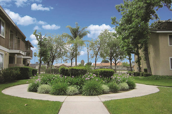 Circle Courtyard with Trees