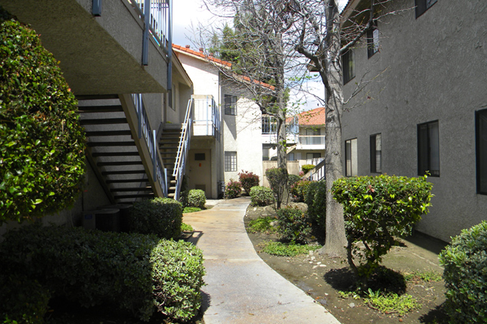 Walk Way Between Trees